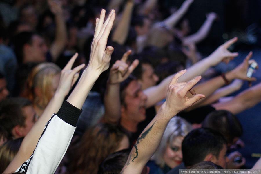 "Поэт и гражданин": фоторепортаж "Афиши Нового Калининграда.Ru"