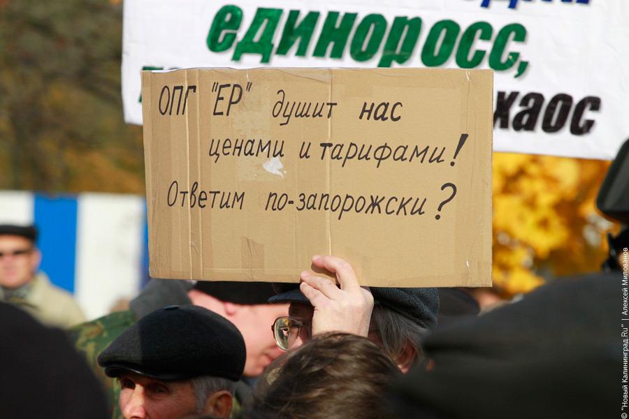 "Осенние посадки. Люди": фоторепортаж "Нового Калининграда.Ru"