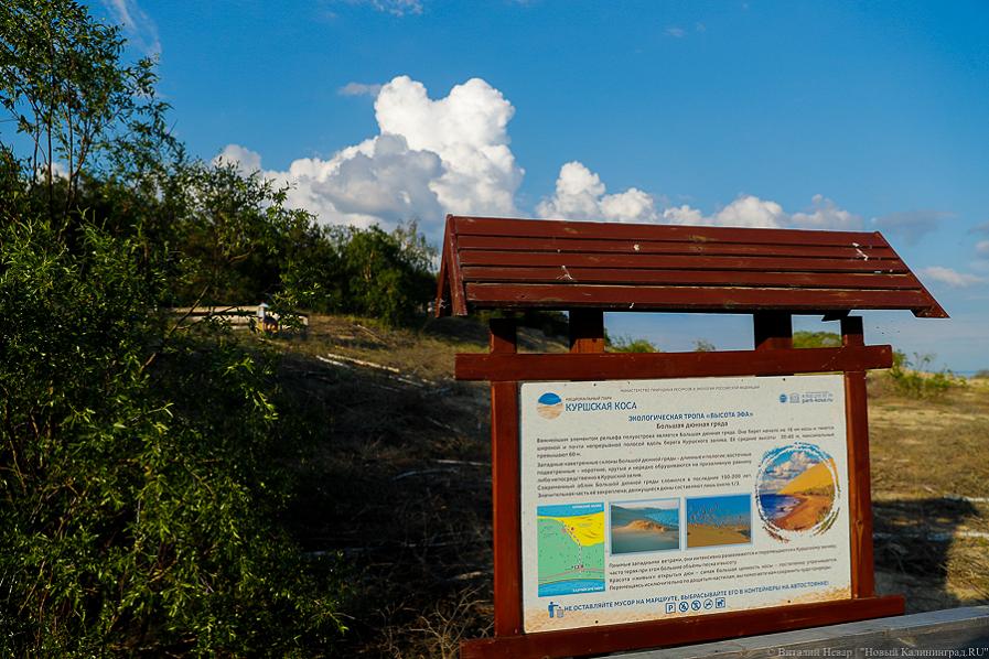 Введена онлайн-оплата посещения Куршской косы