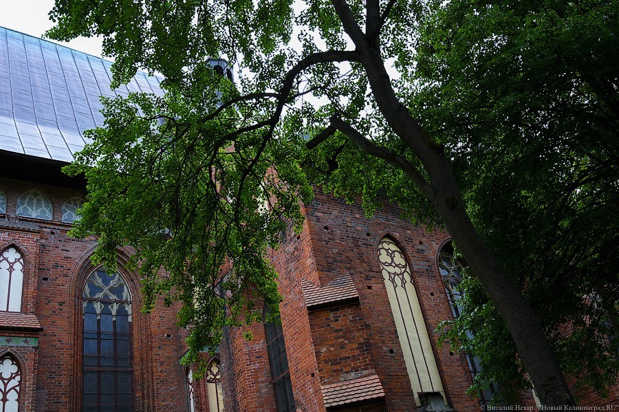 «Вступают в финальную стадию»: как выглядит остров Канта в ходе реконструкции (фото)