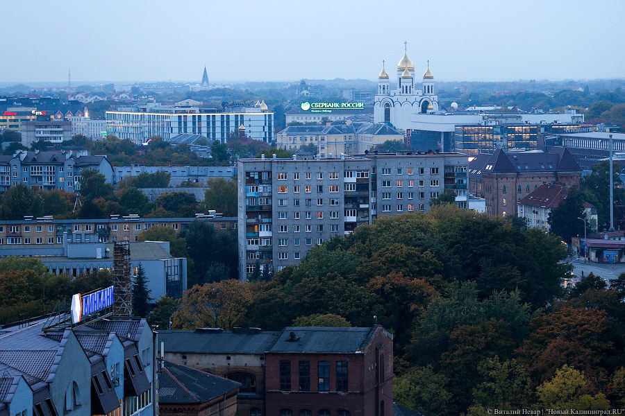 Фото — Виталий Невар, «Новый Калининград.Ru»