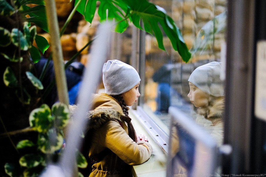 Тыква на обед, а не за билет! Показательное кормление животных в зоопарке (фото)