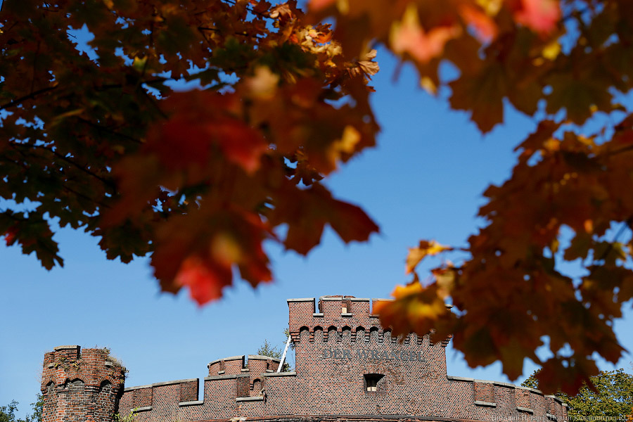 Синоптики обещают калининградцам в выходные до 18 градусов тепла