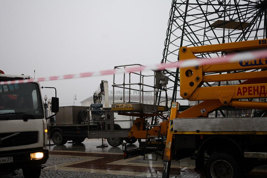 От каркаса до игрушки: в Калининграде собрали главную городскую елку