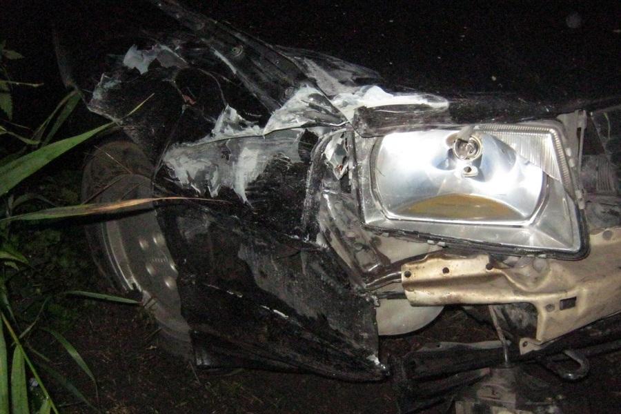 На Мамоновском шоссе «Ауди» врезалась в машину и дерево, у пассажирки разбито лицо (фото)