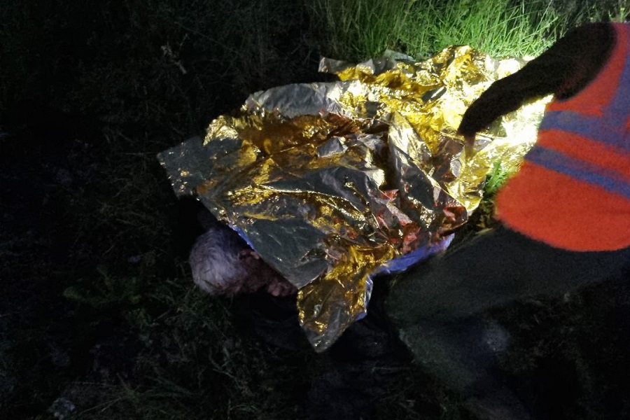 Лежал на пустыре лицом вниз: в Светлогорске нашли пропавшего пенсионера (фото)