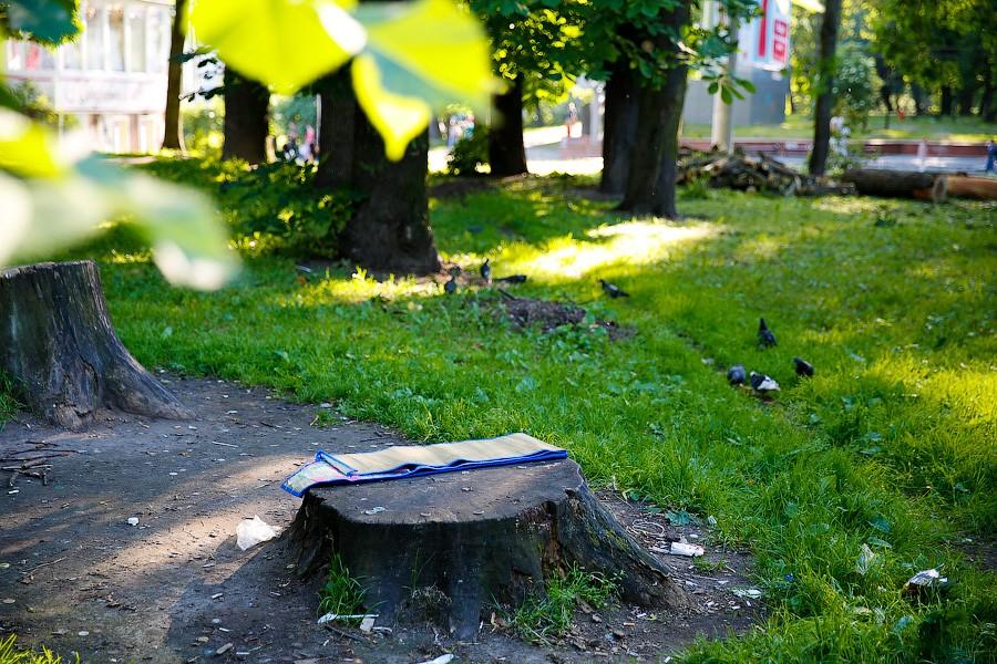 Все законно: власти Калининграда проиграли суд за сквер на улице Горького у прокуратуры