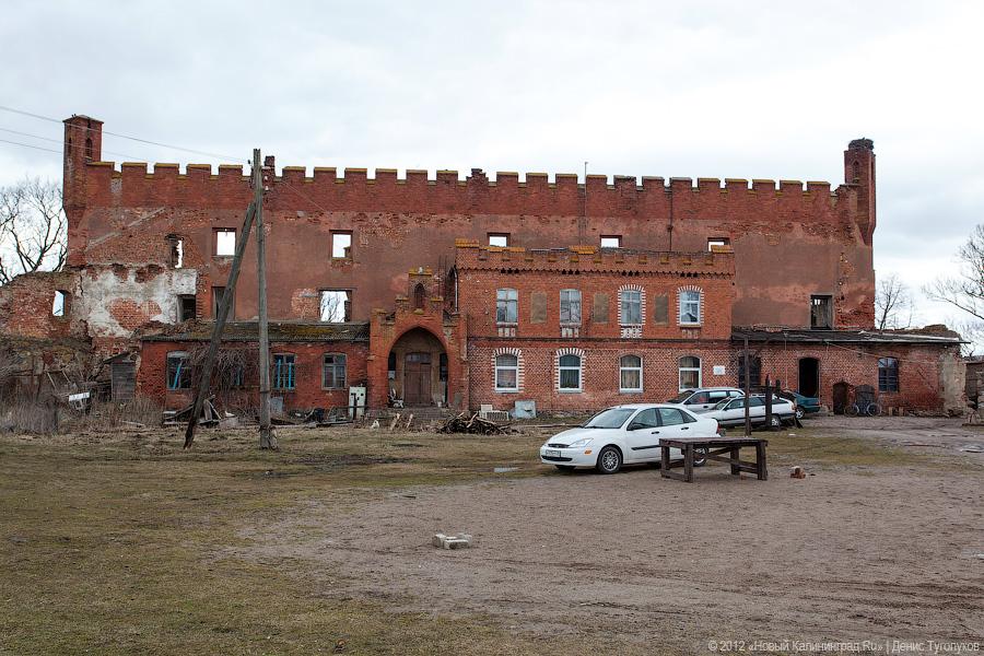 «Шаакен, волонтеры и кот Воровай»: фоторепортаж «Нового Калининграда.Ru»