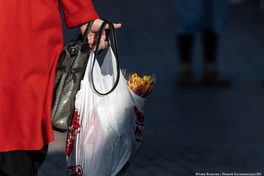 Кругом мимозы и тюльпаны: как выглядят улицы Калининграда 8 марта (фото)