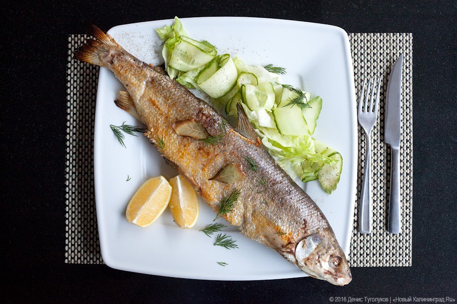 Какая рыба в Балтике плавает быстрее всех: что есть в ресторане «Курена»