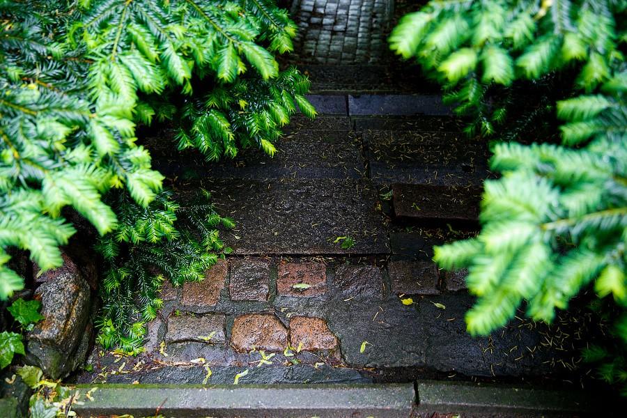 На неведомых дорожках: дендропарк калининградского Экоцентра