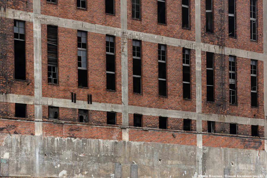 Постапокалиптический пейзаж: что происходит с территорией бывшего ЦБЗ-1 (фото)