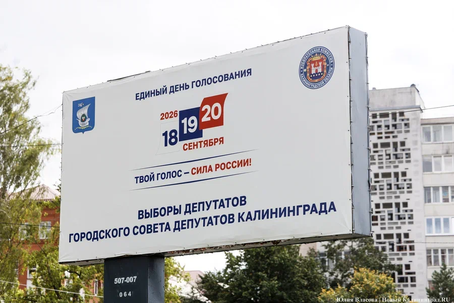 Найди кандидата: кто баллотируется в Горсовет Калининграда по округам с 1-го по 15-й