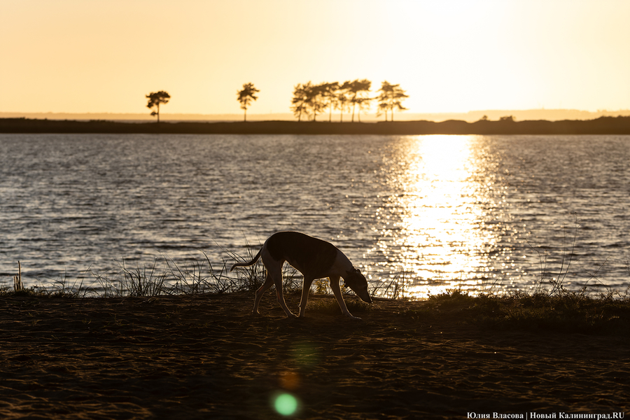 Погода в Калининградской области 23 июля 