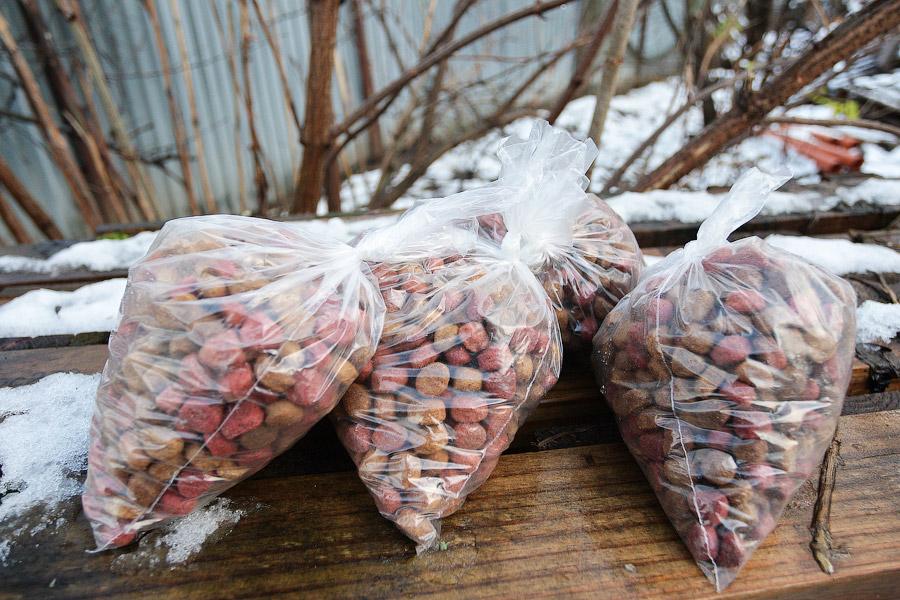 «Некуда девать»: как выглядит изнутри приют для бездомных животных