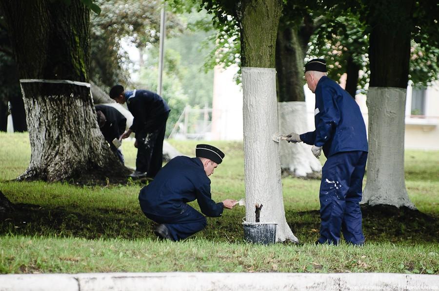 Балтийск спешно ремонтирует дороги и фасады домов ко Дню ВМФ