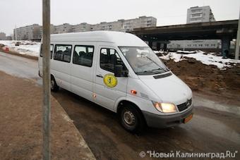 На Остров начнут ходить дополнительные автобусы