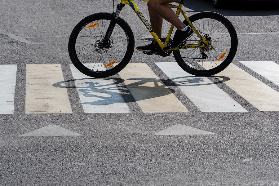 В Калининграде временно намерены перекрыть Кленовую аллею