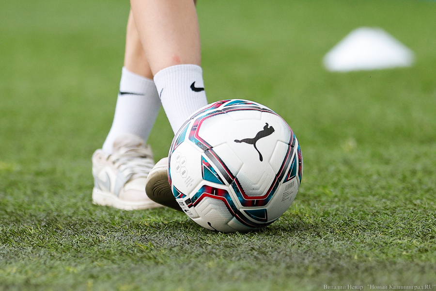 Фото: Виталий Невар / Новый Калининград 