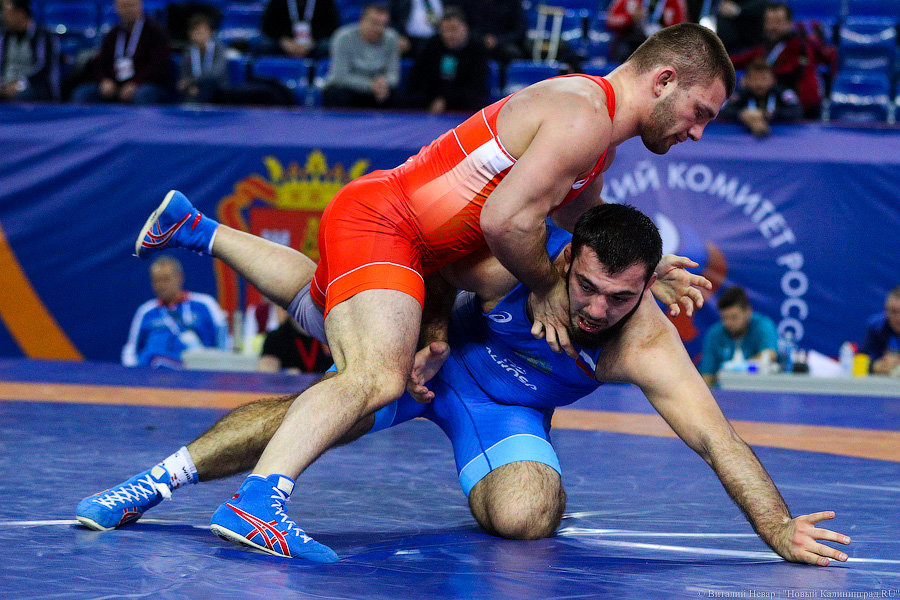 Просто мощь: чемпионат России по греко-римской борьбе идет в Калининграде (фото)