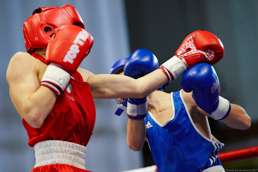 Очередной нокдаун: в Калининграде прошёл международный турнир по боксу «Янтарные перчатки»