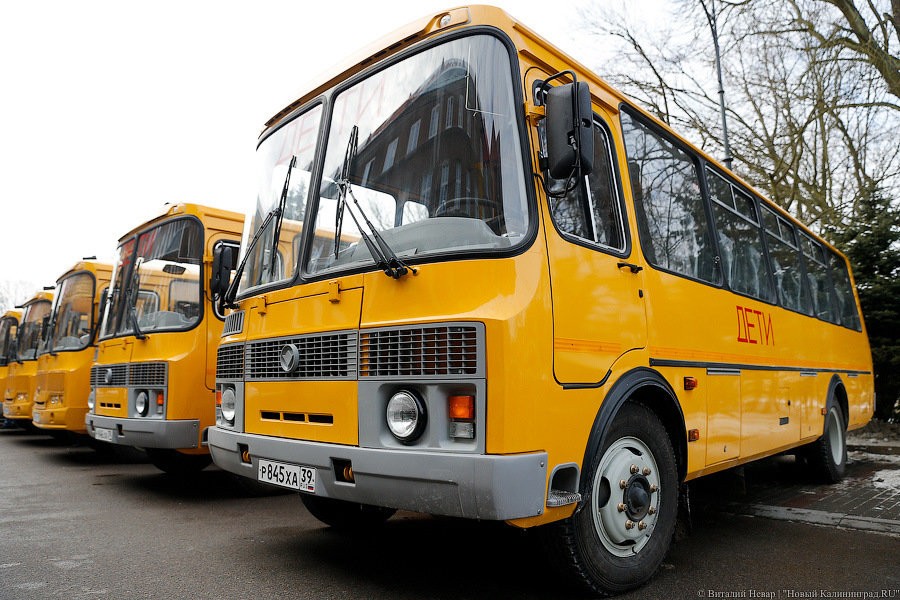 Власти не намерены увеличивать количество школьных автобусов в регионе