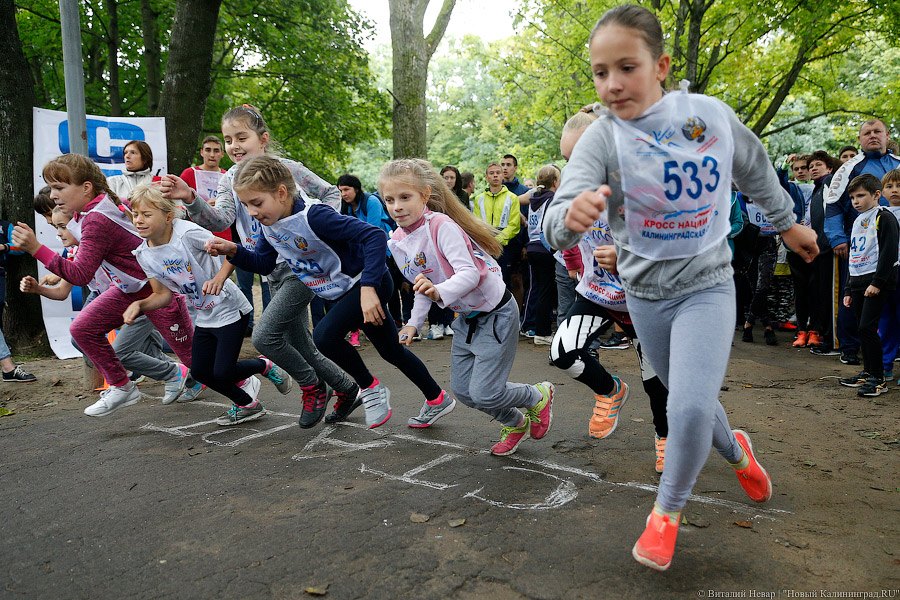 17 сентября: Всероссийский день бега «Кросс нации – 2017» в Калининграде
