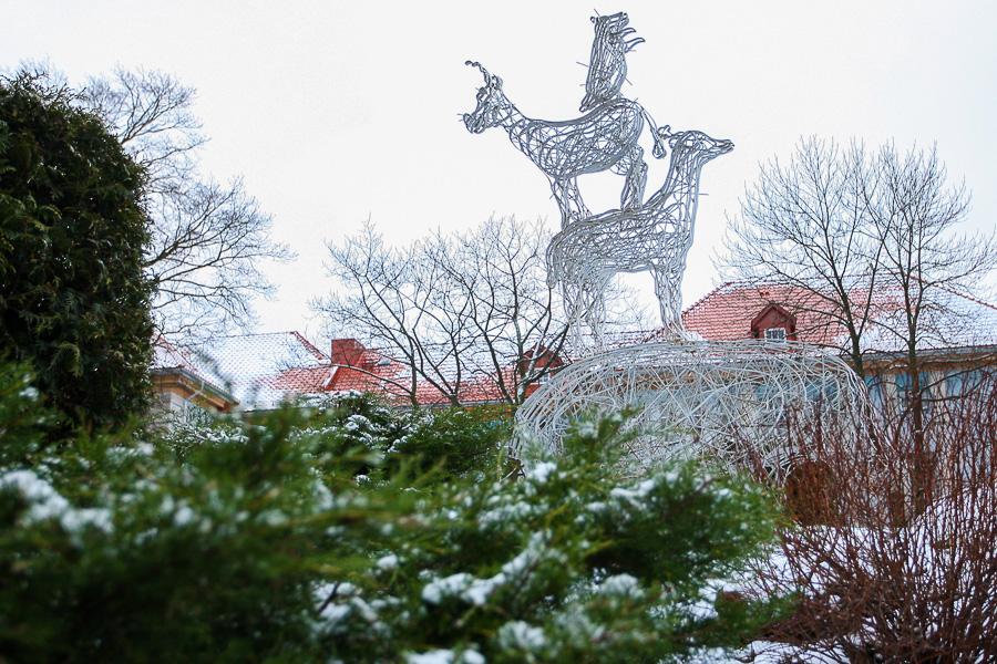 Фото из архива «Нового Калининграда.Ru»