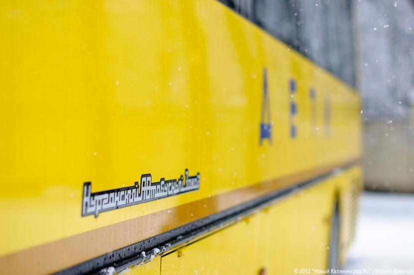 «Быстрее вырасти, чтоб стать министрами»: фоторепортаж «Нового Калининграда.Ru»