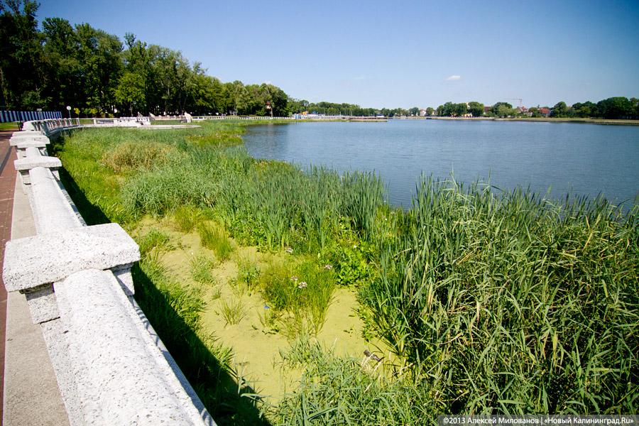 С собакой-улыбакой: Ярошук вновь пообещал завершить реконструкцию набережной Верхнего озера