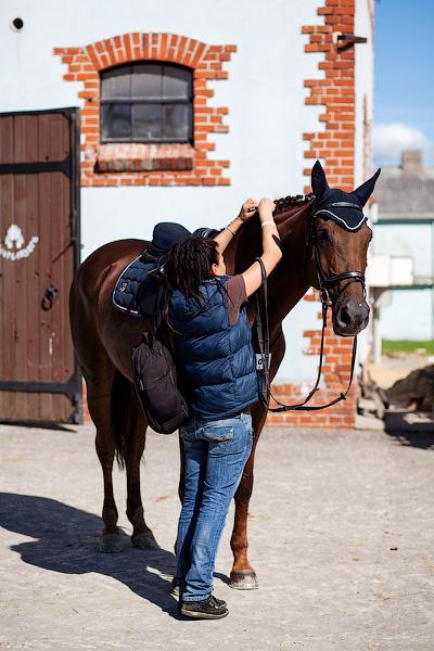 «Кубок президента РФ для немцев»: фоторепортаж с турнира по конкуру в Георгенбурге