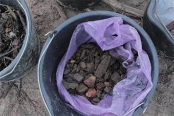 Полиция задержала троих копателей, незаконно добывавших янтарь в Калининграде