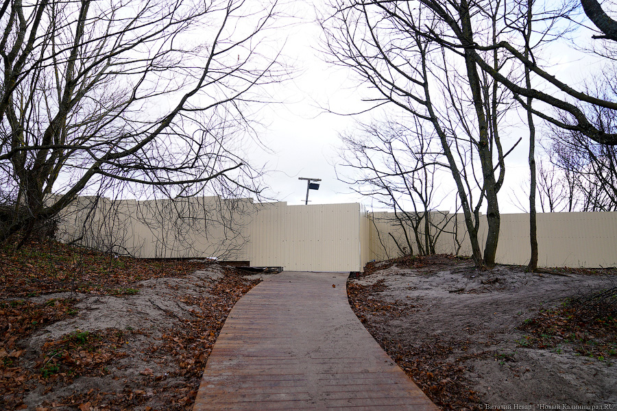 Игра в «Монополь»: как уничтожают авандюну при строительстве кафе в Зеленоградске (фото)