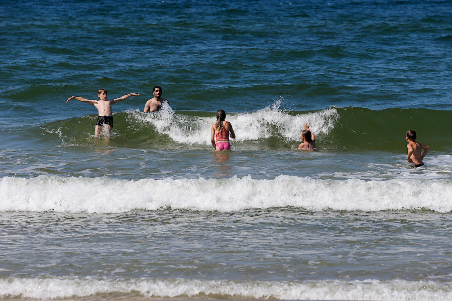 Спаси себя сам: кто отвечает за безопасность людей на пляже в Зеленоградске