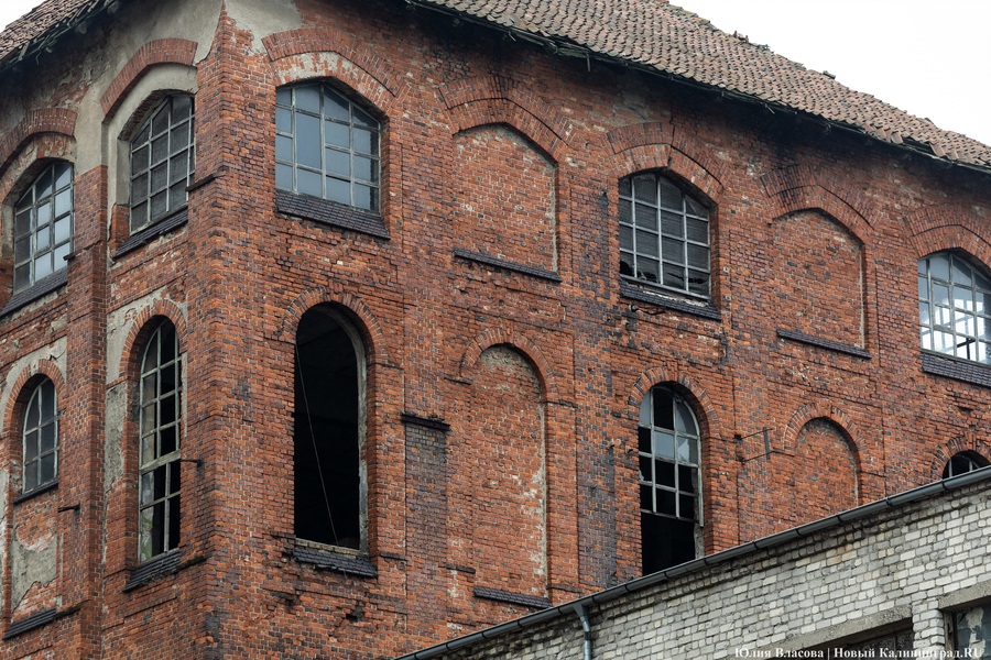 Постапокалиптический пейзаж: что происходит с территорией бывшего ЦБЗ-1 (фото)