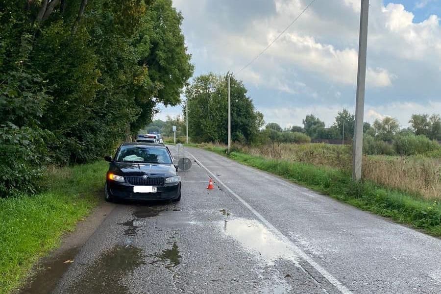 Под Славском «Шкода» врезалась в столб, пострадала женщина (фото)