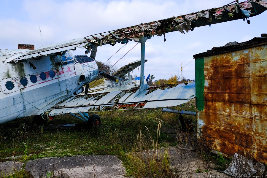 Опрос: у половины калининградцев не оказалось предложений по территории Девау 