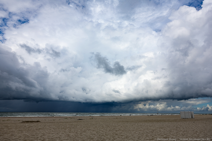 У нас все уже высохло: Алиханов сообщил об идее привлечь авиацию для создания дождевых облаков