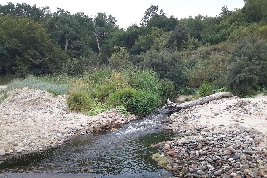 Все идет не по плану: как в Светлогорске променад строить начали