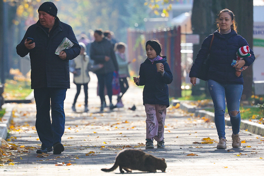 Время тыквы: как в Калининграде проходит необычная осень (фото)