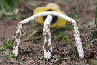 Цуканов пообещал поддержать проекты эко-агропарка и комплекса по выращиванию льна