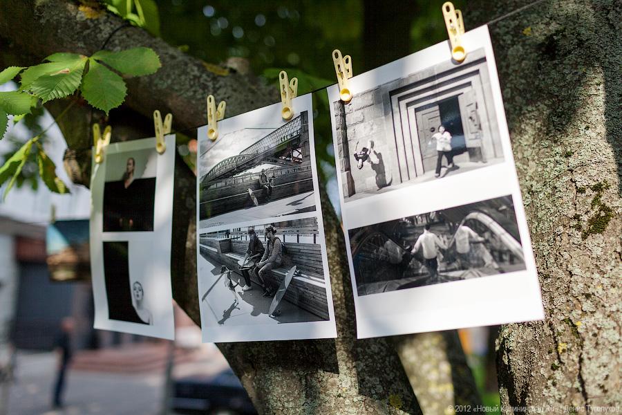 «Кадры решают все»: фоторепортаж с выставки фотографии под открытым небом