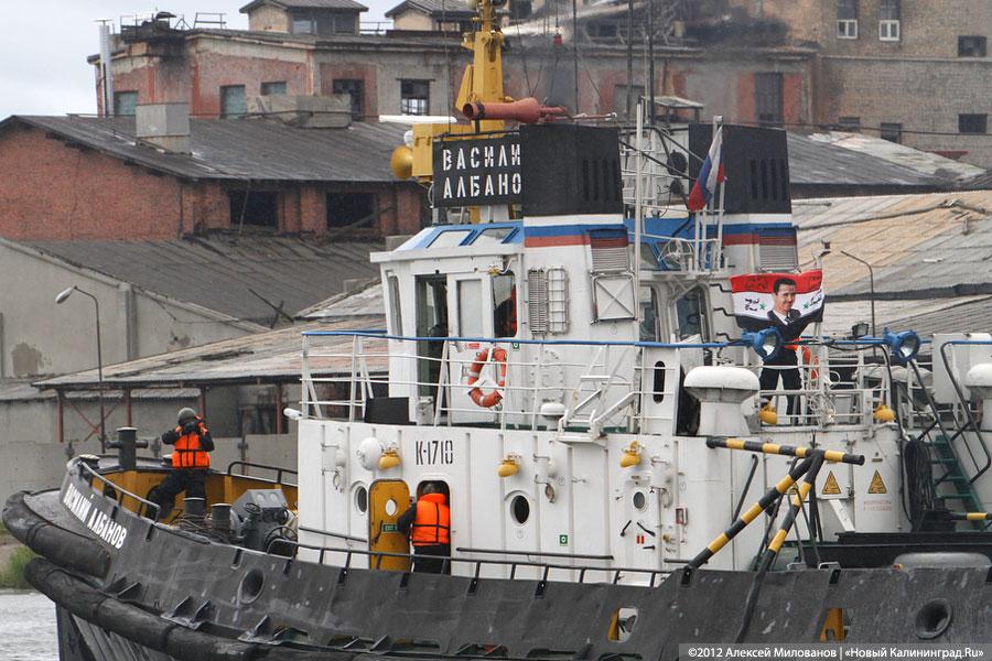 «Под флагом Башара»: фоторепортаж с антитеррористических учений