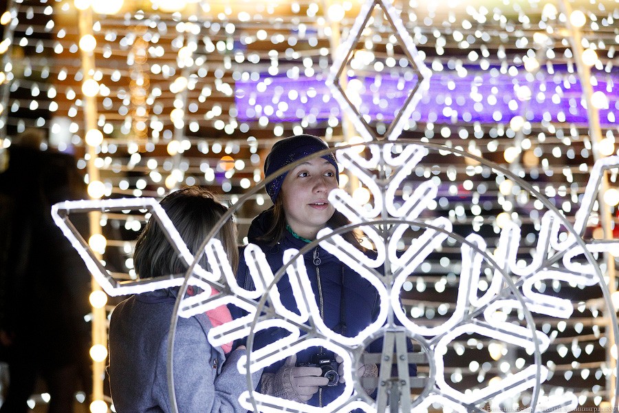 Открути оленю ушко: центр Калининграда украсили к Новому году (фото)