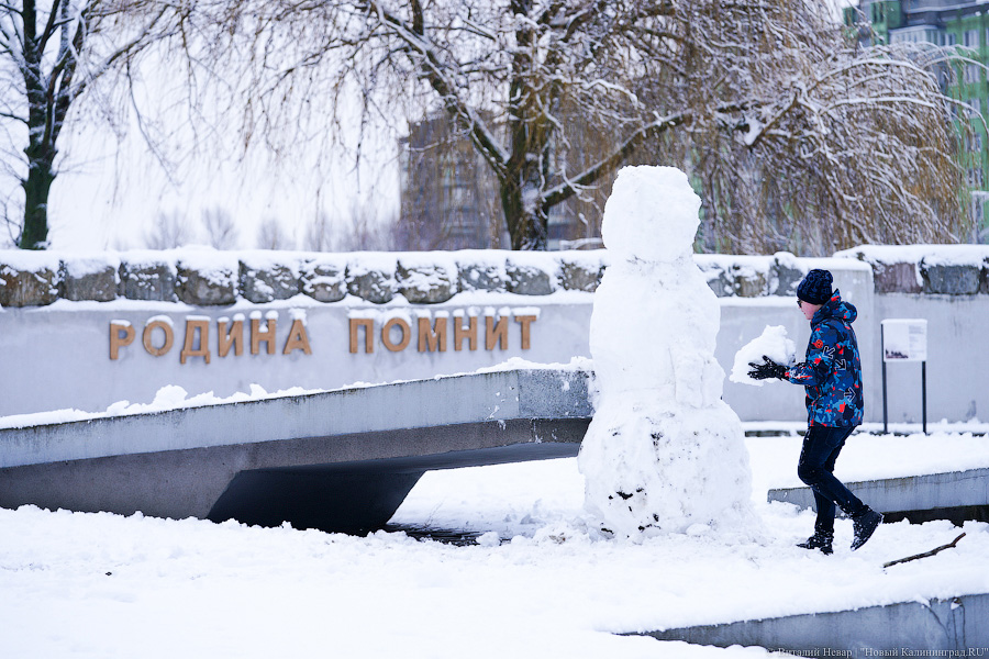 За ночь Калининград замело снегом. Вот как выглядел город утром 13 января (фото)