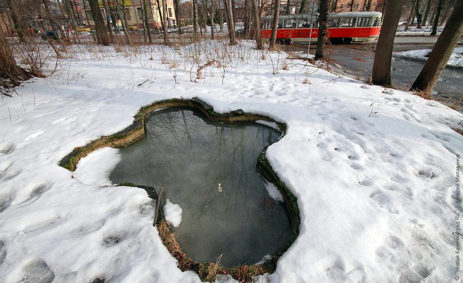 "Пустые дома: Тельмана, 17-19": фотопроект "Нового Калининграда.Ru"