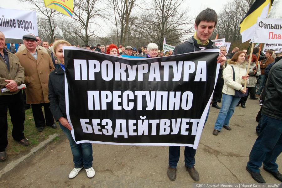 "Что показала весна": репортаж "Нового Калининграда.Ru"