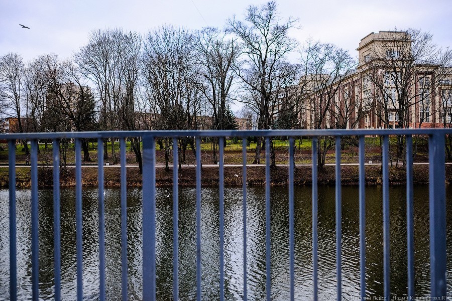 Бетон и пустота: в Калининграде завершается благоустройство Нижнего озера (фото)