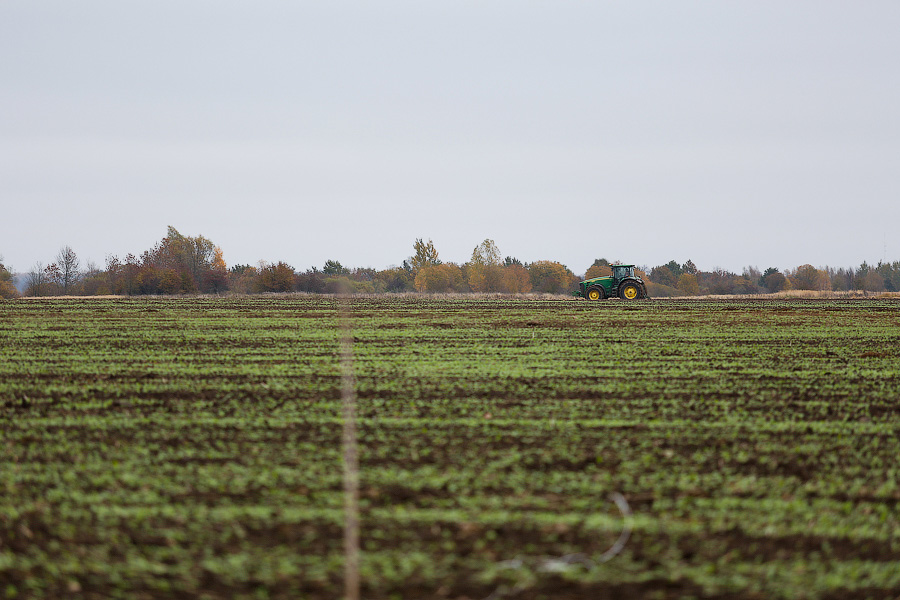 Фото — Виталий Невар, «Новый Калининград.Ru»