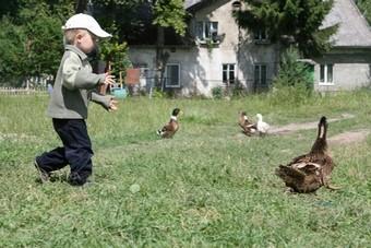 Многодетная семья, получившая землю от властей: на коммуникации нужно больше 500 тысяч